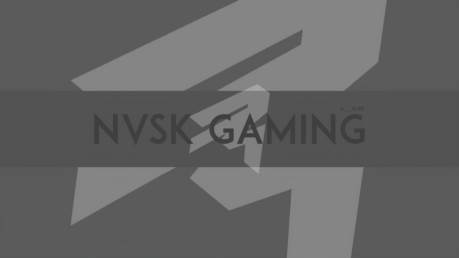 Nvsk Gaming Channel Banner